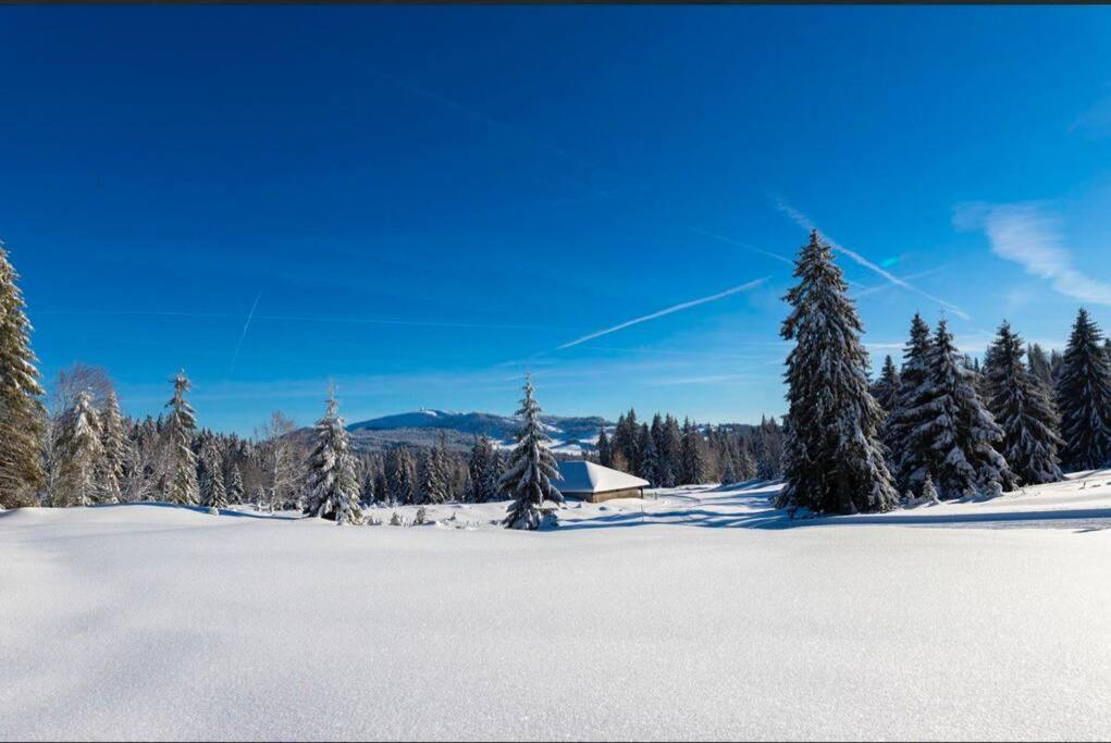 Chaleureux Studio Montagnard Avec Balcon 2303 Prémanon Kültér fotó